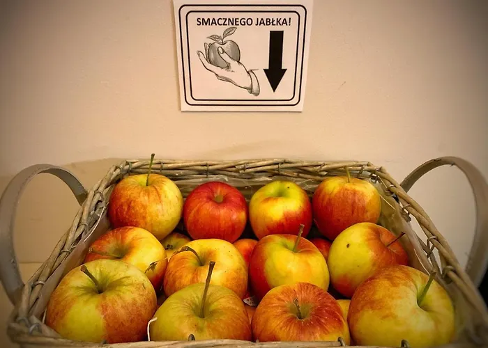 20 منزل للإقامة *